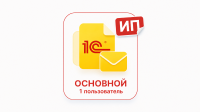 Основной, 2-9 пользователей, 12 мес. (ИП)