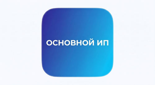 Основной 12 мес. 1 ИП